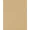 16" x 20" Jungle Vibe Toucan Wall Décor in Woodgrain Frame by Ashland®